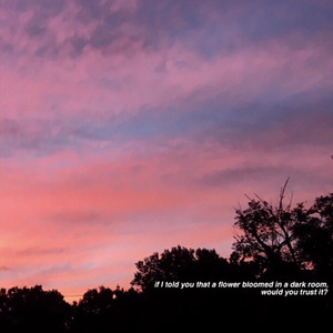 av片永久免费全集在线观看
